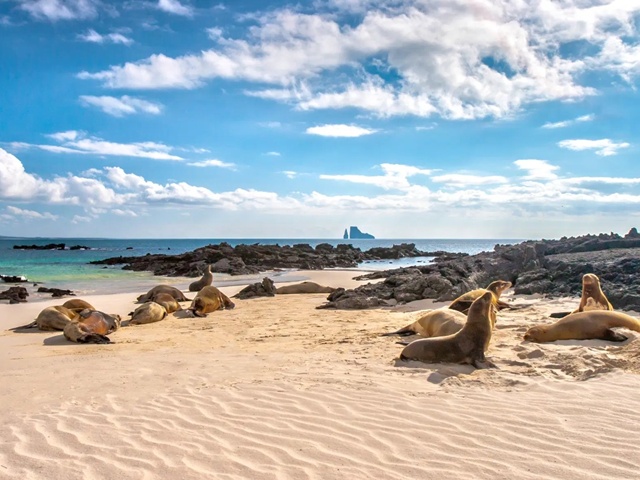 Z Andów na Galapagos