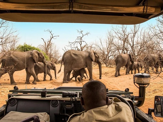 Tam, gdzie rządzi natura: Zimbabwe i Botswana